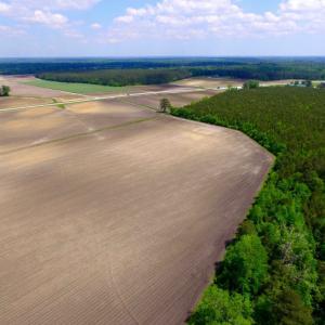 Photo of UNDER CONTRACT!  130 Acres of Prime Farm and Commercial Land For Sale in Jones County NC!