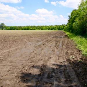 Photo of UNDER CONTRACT!  130 Acres of Prime Farm and Commercial Land For Sale in Jones County NC!