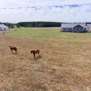Photo of UNDER CONTRACT!  10 Acres of Residential and Equestrian Property for Sale in Edgecombe County NC!