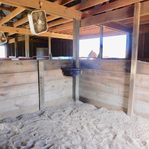Photo of UNDER CONTRACT!  10 Acres of Residential and Equestrian Property for Sale in Edgecombe County NC!