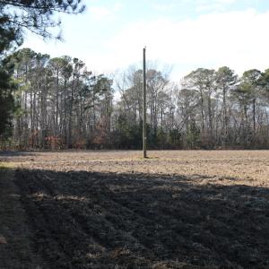 Photo of UNDER CONTRACT!  40 Acres of Residential Hunting Land For Sale in Accomack County VA!