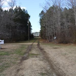 Photo of UNDER CONTRACT!  40 Acres of Residential Hunting Land For Sale in Accomack County VA!