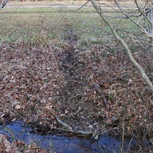 Photo of UNDER CONTRACT!  40 Acres of Residential Hunting Land For Sale in Accomack County VA!