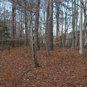 Photo of UNDER CONTRACT!  40 Acres of Residential Hunting Land For Sale in Accomack County VA!