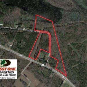 Photo of UNDER CONTRACT!  11.4 Acres of Hunting Land with Duck Swamp For Sale in Halifax County NC!