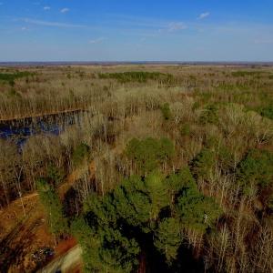 Photo of UNDER CONTRACT!  11.4 Acres of Hunting Land with Duck Swamp For Sale in Halifax County NC!