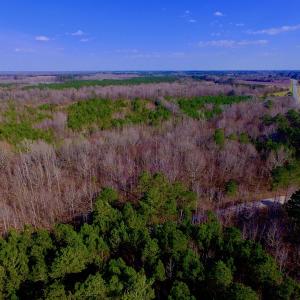 Photo of UNDER CONTRACT!  11.4 Acres of Hunting Land with Duck Swamp For Sale in Halifax County NC!