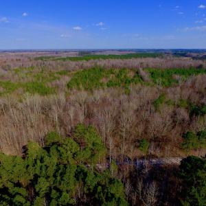Photo of UNDER CONTRACT!  11.4 Acres of Hunting Land with Duck Swamp For Sale in Halifax County NC!