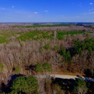 Photo of UNDER CONTRACT!  11.4 Acres of Hunting Land with Duck Swamp For Sale in Halifax County NC!