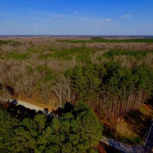 Photo of UNDER CONTRACT!  11.4 Acres of Hunting Land with Duck Swamp For Sale in Halifax County NC!