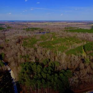 Photo of UNDER CONTRACT!  11.4 Acres of Hunting Land with Duck Swamp For Sale in Halifax County NC!