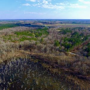 Photo of UNDER CONTRACT!  11.4 Acres of Hunting Land with Duck Swamp For Sale in Halifax County NC!