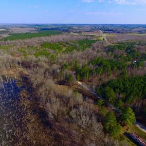 Photo of UNDER CONTRACT!  11.4 Acres of Hunting Land with Duck Swamp For Sale in Halifax County NC!