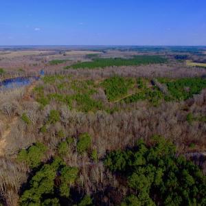 Photo of UNDER CONTRACT!  11.4 Acres of Hunting Land with Duck Swamp For Sale in Halifax County NC!