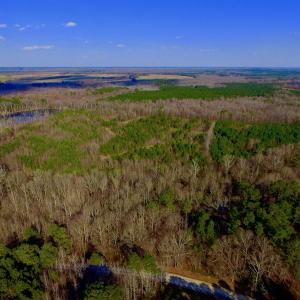 Photo of UNDER CONTRACT!  11.4 Acres of Hunting Land with Duck Swamp For Sale in Halifax County NC!