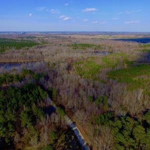 Photo of UNDER CONTRACT!  11.4 Acres of Hunting Land with Duck Swamp For Sale in Halifax County NC!