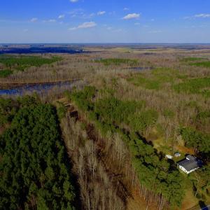 Photo of UNDER CONTRACT!  11.4 Acres of Hunting Land with Duck Swamp For Sale in Halifax County NC!