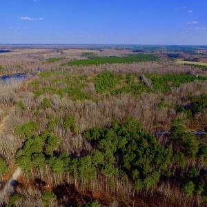 Photo of UNDER CONTRACT!  11.4 Acres of Hunting Land with Duck Swamp For Sale in Halifax County NC!