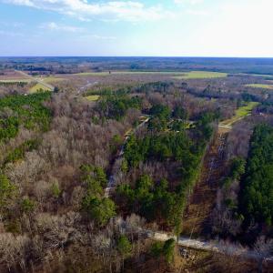 Photo of UNDER CONTRACT!  11.4 Acres of Hunting Land with Duck Swamp For Sale in Halifax County NC!