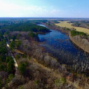 Photo of UNDER CONTRACT!  11.4 Acres of Hunting Land with Duck Swamp For Sale in Halifax County NC!