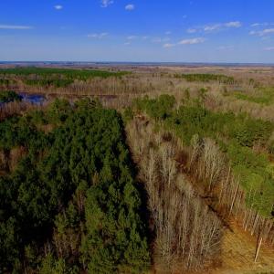 Photo of UNDER CONTRACT!  11.4 Acres of Hunting Land with Duck Swamp For Sale in Halifax County NC!