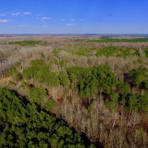 Photo of UNDER CONTRACT!  11.4 Acres of Hunting Land with Duck Swamp For Sale in Halifax County NC!