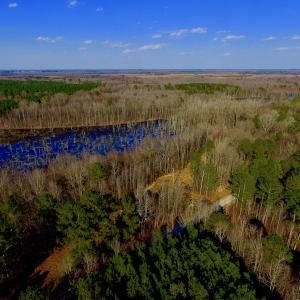Photo of UNDER CONTRACT!  11.4 Acres of Hunting Land with Duck Swamp For Sale in Halifax County NC!