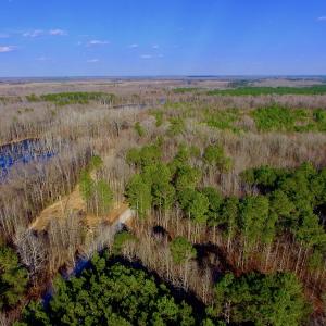Photo of UNDER CONTRACT!  11.4 Acres of Hunting Land with Duck Swamp For Sale in Halifax County NC!