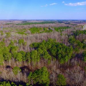 Photo of UNDER CONTRACT!  11.4 Acres of Hunting Land with Duck Swamp For Sale in Halifax County NC!