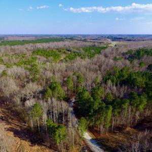 Photo of UNDER CONTRACT!  11.4 Acres of Hunting Land with Duck Swamp For Sale in Halifax County NC!