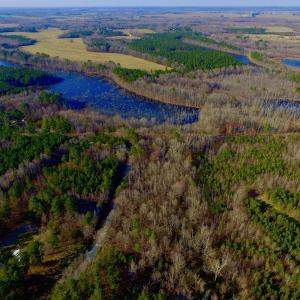 Photo of UNDER CONTRACT!  11.4 Acres of Hunting Land with Duck Swamp For Sale in Halifax County NC!