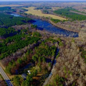 Photo of UNDER CONTRACT!  11.4 Acres of Hunting Land with Duck Swamp For Sale in Halifax County NC!