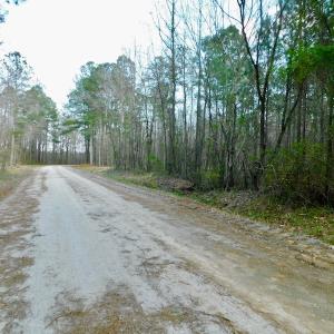 Photo of UNDER CONTRACT!  11.4 Acres of Hunting Land with Duck Swamp For Sale in Halifax County NC!