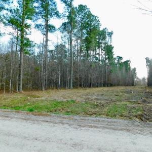 Photo of UNDER CONTRACT!  11.4 Acres of Hunting Land with Duck Swamp For Sale in Halifax County NC!