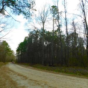 Photo of UNDER CONTRACT!  11.4 Acres of Hunting Land with Duck Swamp For Sale in Halifax County NC!