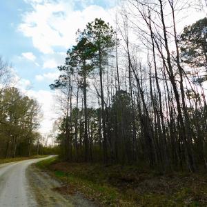 Photo of UNDER CONTRACT!  11.4 Acres of Hunting Land with Duck Swamp For Sale in Halifax County NC!