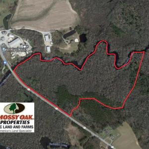 Photo of UNDER CONTRACT!  43.7 Acres of Hunting Land For Sale in Gates County NC!