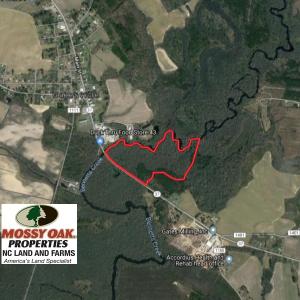 Photo of UNDER CONTRACT!  43.7 Acres of Hunting Land For Sale in Gates County NC!