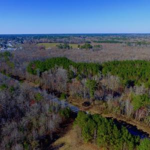 Photo of UNDER CONTRACT!  43.7 Acres of Hunting Land For Sale in Gates County NC!