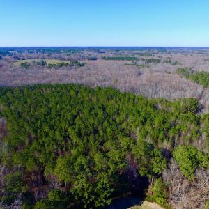 Photo of UNDER CONTRACT!  43.7 Acres of Hunting Land For Sale in Gates County NC!