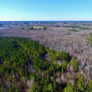 Photo of UNDER CONTRACT!  43.7 Acres of Hunting Land For Sale in Gates County NC!
