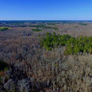 Photo of UNDER CONTRACT!  43.7 Acres of Hunting Land For Sale in Gates County NC!