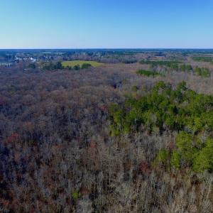 Photo of UNDER CONTRACT!  43.7 Acres of Hunting Land For Sale in Gates County NC!