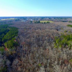 Photo of UNDER CONTRACT!  43.7 Acres of Hunting Land For Sale in Gates County NC!