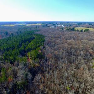 Photo of UNDER CONTRACT!  43.7 Acres of Hunting Land For Sale in Gates County NC!