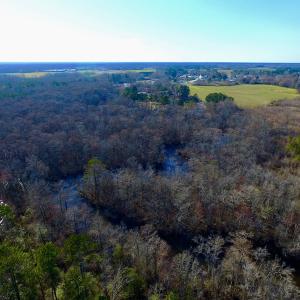 Photo of UNDER CONTRACT!  43.7 Acres of Hunting Land For Sale in Gates County NC!