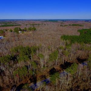 Photo of UNDER CONTRACT!  43.7 Acres of Hunting Land For Sale in Gates County NC!