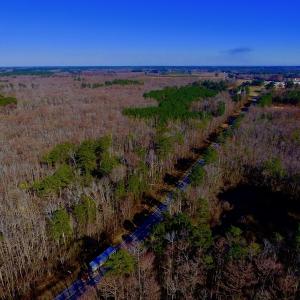 Photo of UNDER CONTRACT!  43.7 Acres of Hunting Land For Sale in Gates County NC!