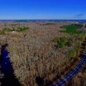 Photo of UNDER CONTRACT!  43.7 Acres of Hunting Land For Sale in Gates County NC!