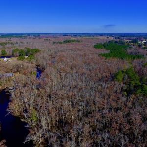 Photo of UNDER CONTRACT!  43.7 Acres of Hunting Land For Sale in Gates County NC!
